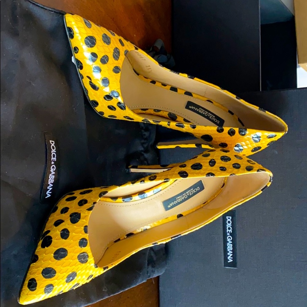 Dolce & Gabbana! NWT!!!